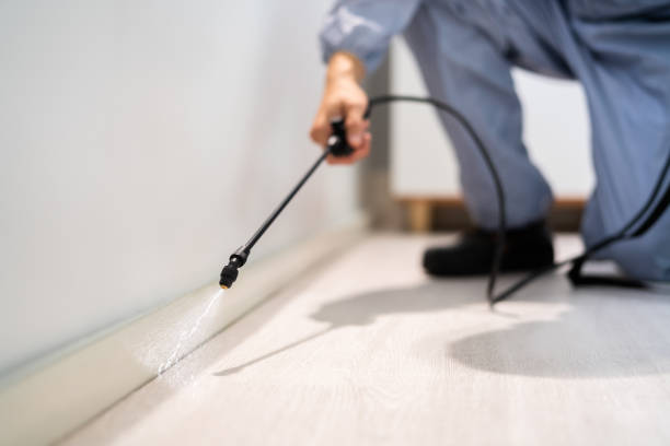 Licensed Pest Control service in Ridgetop, TN - Show Me Pest Control