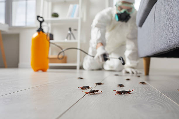 Commercial Kitchen Cockroach Control in Ridgetop